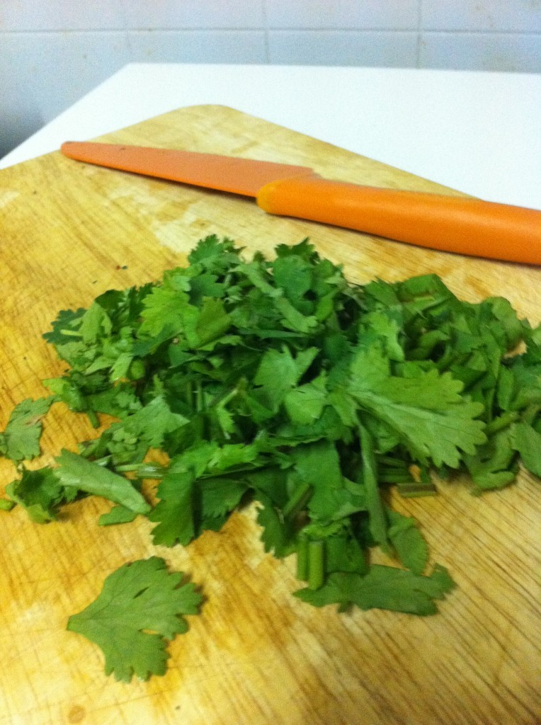 Coriander