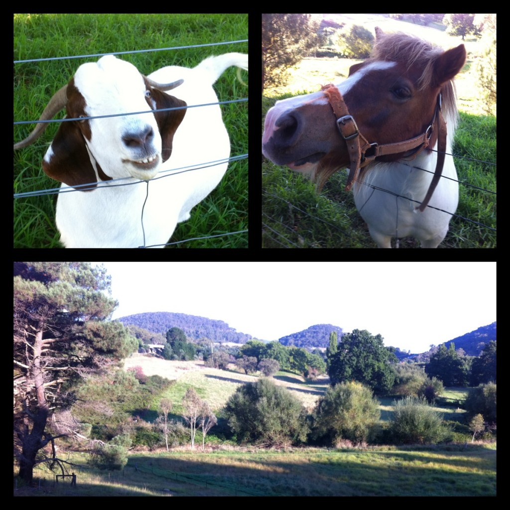 Lithgow