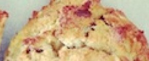 cropped-cookie2.jpg