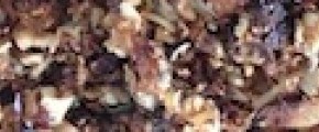 cropped-granola3.jpg