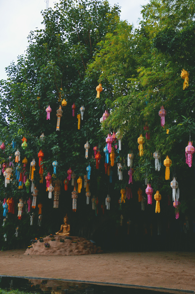 Tree filled with lanterns | When in Chiang Mai: Exploring the city | lizniland.com