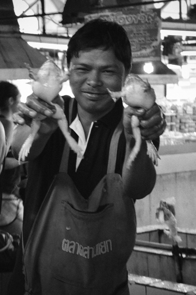 Fishmonger with live frogs | When in Chiang Mai: Fresh food markets | lizniland.com