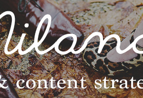 Liz Niland | lizniland.com